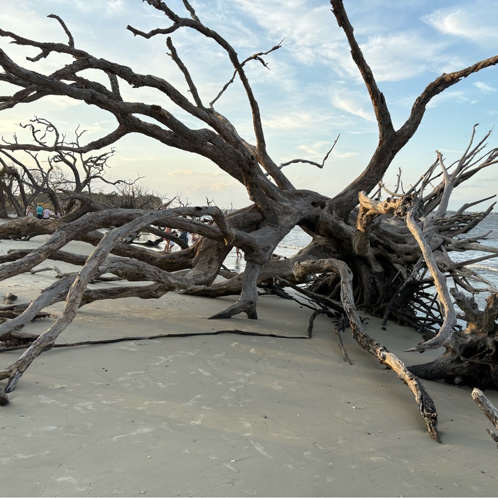 Meet your Posher, Mark n cindy